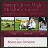 Knapp's Knee-High Miniature Horses
